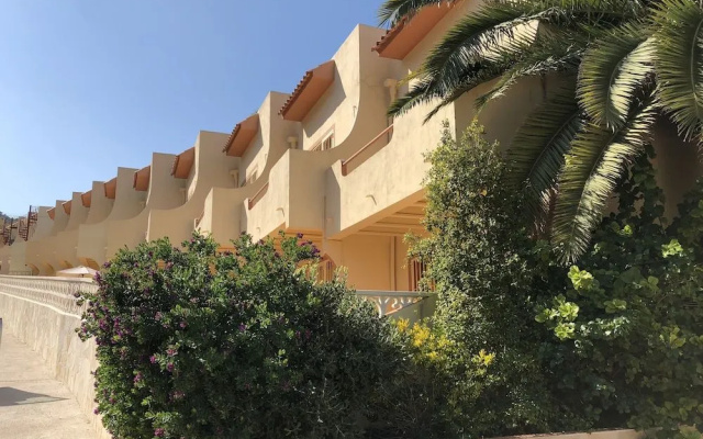 Albir Up Paradise