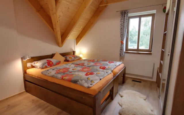 Apartment U Krále Kořenov