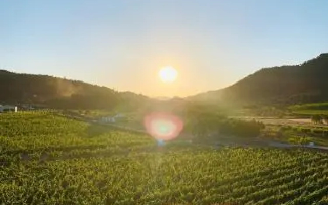 Quinta do Palame
