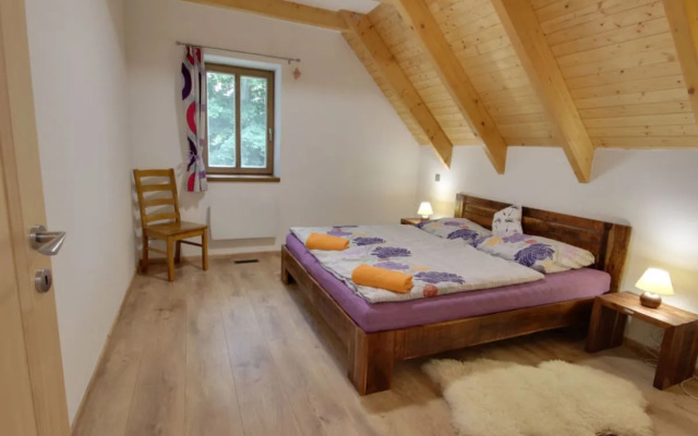 Apartment U Krále Kořenov