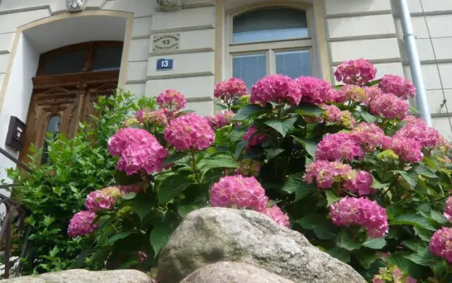 Hortensia Teplice