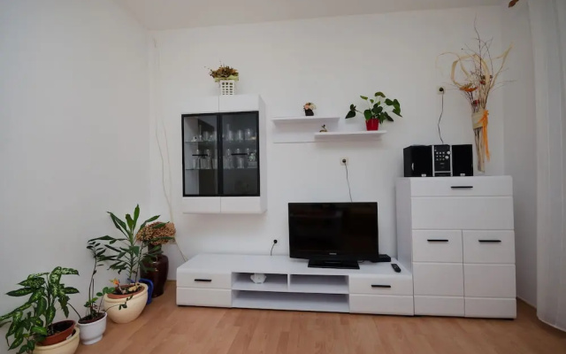 Apartment Ruza