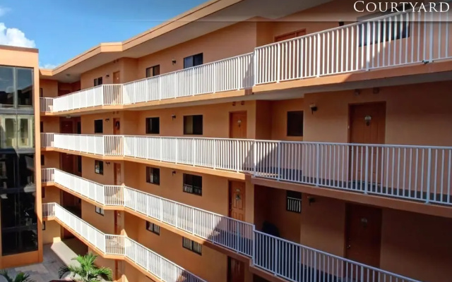 Beach Palms 402