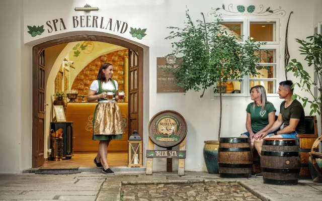 Hotels in Plzen